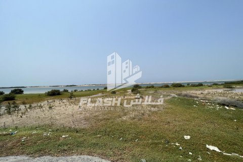 Land in Shamal Julphar, Ras Al Khaimah, UAE 2972.3 sq.m. № 611664 - photo 6