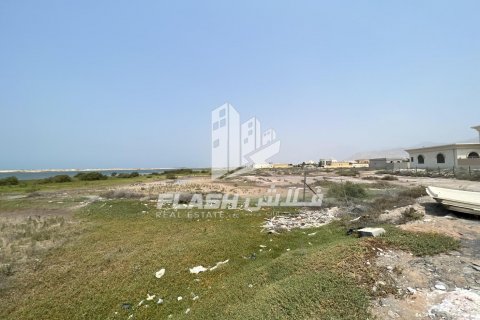 Land in Shamal Julphar, Ras Al Khaimah, UAE 2972.3 sq.m. № 611664 - photo 3