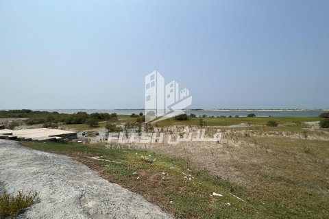 Land in Shamal Julphar, Ras Al Khaimah, UAE 2972.3 sq.m. № 611664 - photo 7