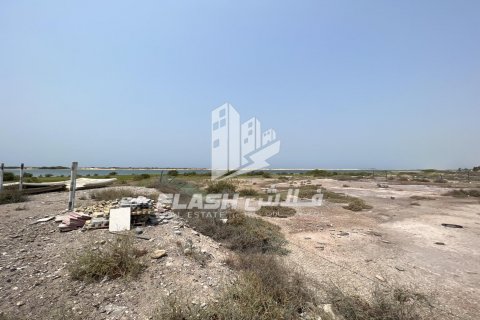 Land in Shamal Julphar, Ras Al Khaimah, UAE 2972.3 sq.m. № 611664 - photo 4