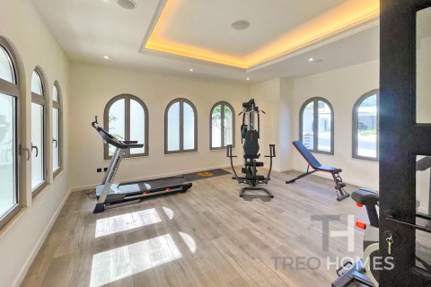 Vila v Palm Jumeirah, Dubai, SAE 4 ložnice, 465 m² Č.: 590253 - fotografie 22