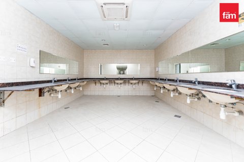 Budova v Dubai, SAE 5388.1 m² Č.: 582769 - fotografie 15