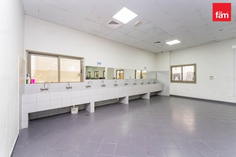 Budova v Dubai, SAE 5388.1 m² Č.: 582769 - fotografie 14
