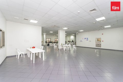 Budova v Dubai, SAE 5388.1 m² Č.: 582769 - fotografie 2