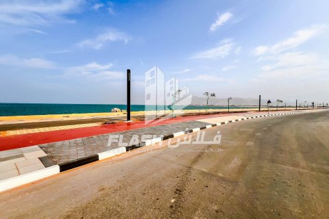 Pozemek v Al Mairid, Ras Al Khaimah, SAE 449.9 m² Č.: 611754 - fotografie 19