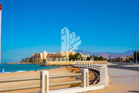Pozemek v Al Mairid, Ras Al Khaimah, SAE 449.9 m² Č.: 611754 - fotografie 3