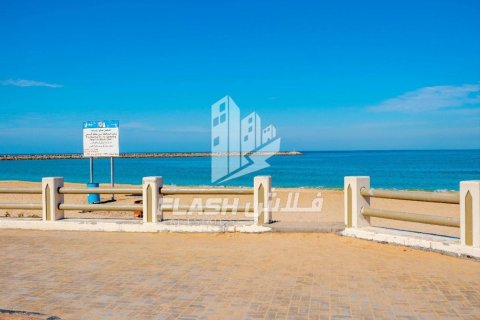 Pozemek v Al Mairid, Ras Al Khaimah, SAE 449.9 m² Č.: 611754 - fotografie 12