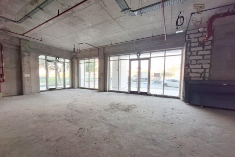 Εμπορικό ακίνητο σε Dubai, ΗΑΕ 465.7 τ.μ. Αρ. 569313 - φωτογραφία 1