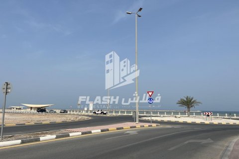 Tontti Al Mairid, Ras Al Khaimah, Arabiemiraatit 899.9 m2 № 611641 - kuva 16