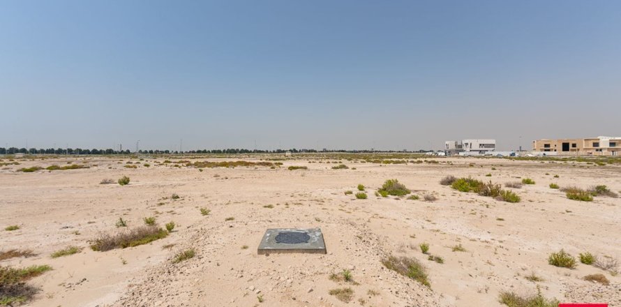 Jebel Ali, Dubai, संयुक्त अरब अमीरात में ज़मीन, 929.7 वर्ग मीटर, संख्या 569525