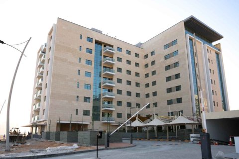 Saadiyat Noon në Saadiyat Island, Abu Dhabi, Emiratet e Bashkuara Arabe № 212899