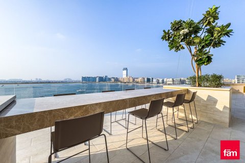 阿联酋 Dubai Dubai Harbour 待售 : 3 卧, 195.9 平方米 , 编号580918 - 照片 24