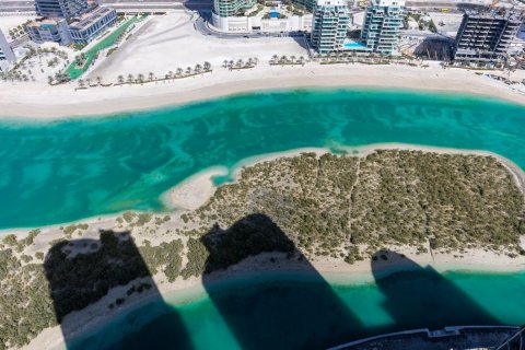 Byt v Al Reem Island, Abu Dhabi, SAE 1 ložnice, 76 m² Č.: 595020 - fotografie 11