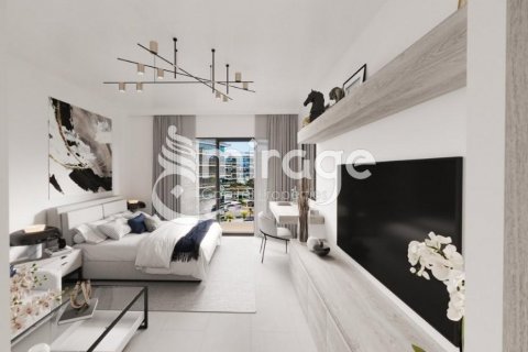 阿联酋 Abu Dhabi Saadiyat Island 待售 : 46 平方米 , 编号550240 - 照片 5