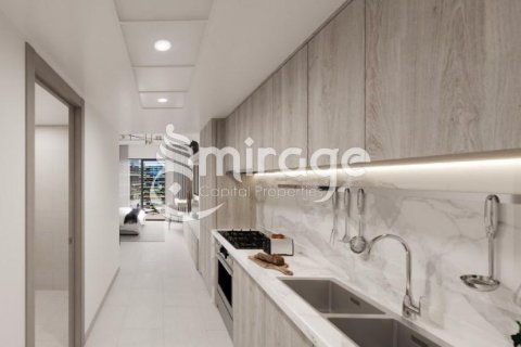 阿联酋 Abu Dhabi Saadiyat Island 待售 : 46 平方米 , 编号550240 - 照片 8